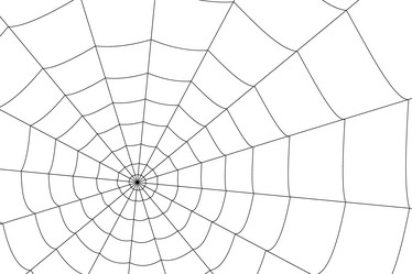 Similar image 21998233