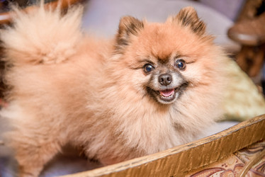 Similar image 21993642