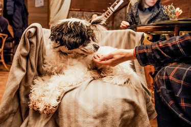 Similar image 21993643