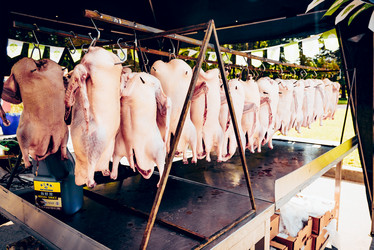 Similar image 21993031