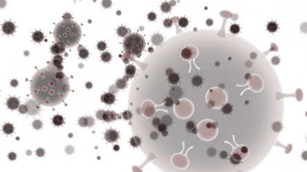 Similar image 21997371