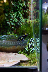 Similar image 21996334