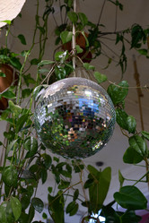 Similar image 21996355