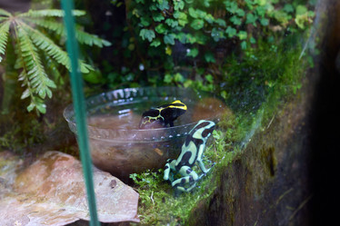 Similar image 21996356