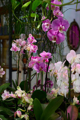 Similar image 21994450