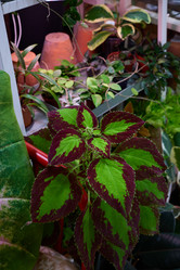 Similar image 21994455