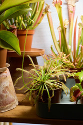 Similar image 21994459