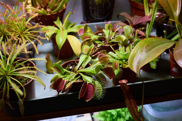 Similar image 21996366