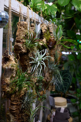 Similar image 21996370