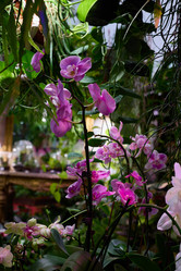 Similar image 21996373