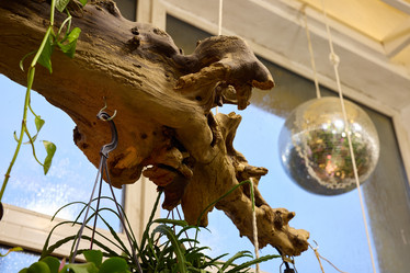 Similar image 21996374