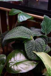 Similar image 21994086