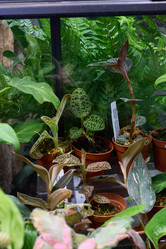 Similar image 21994096