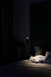 Similar image 21994098