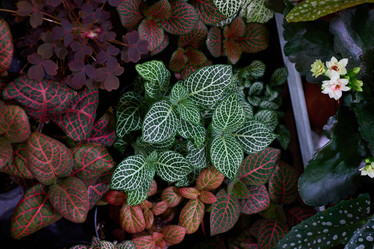 Similar image 21994269