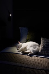 Similar image 21997913