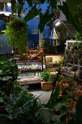 Similar image 21997916