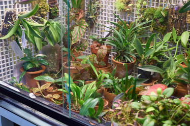 Similar image 21998343