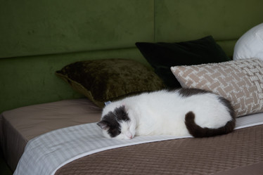 Similar image 21998349