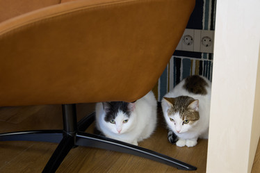 Similar image 21998886