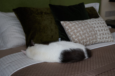 Similar image 21998887