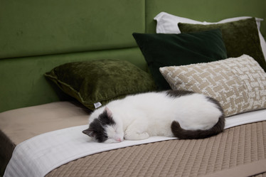 Similar image 21998935