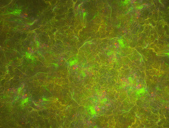 Similar image 22019248