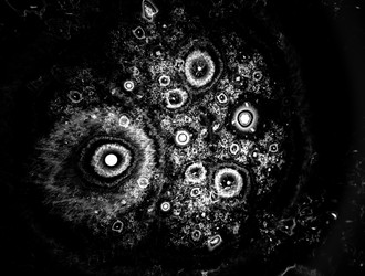 Similar image 22019251