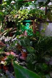 Similar image 21998889