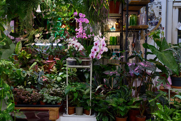 Similar image 21999070