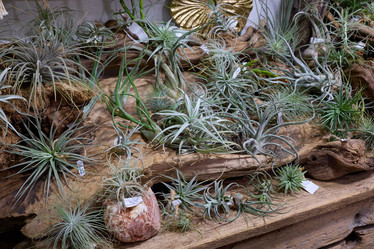 Similar image 21999090