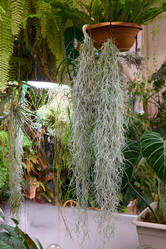 Similar image 21993684