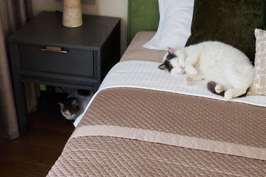 Similar image 21993692