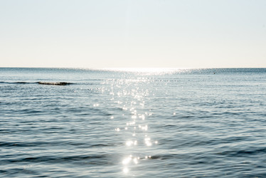 Similar image 21993450