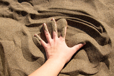 Similar image 21993452