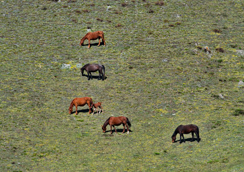 Similar image 22001912