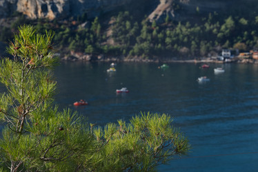 Similar image 21998212