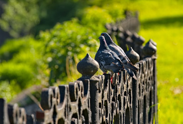 Similar image 21998215