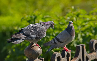 Similar image 21998216