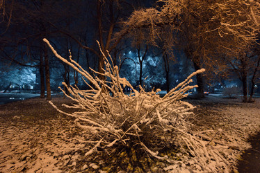 Similar image 21998218