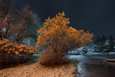 Similar image 21998219