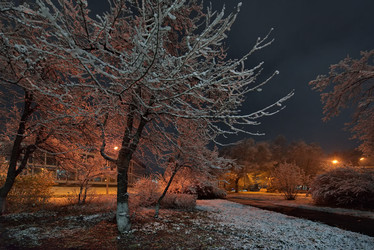 Similar image 21998221