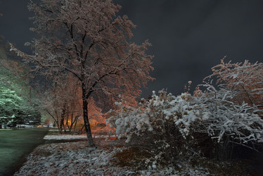 Similar image 21998223