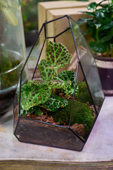 Similar image 21994133