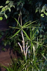 Similar image 21994290