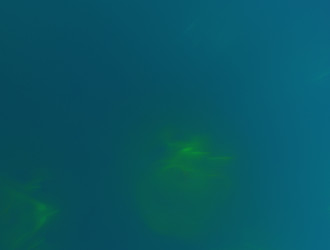 Similar image 22019581