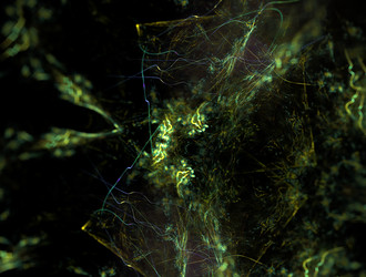 Similar image 22019636