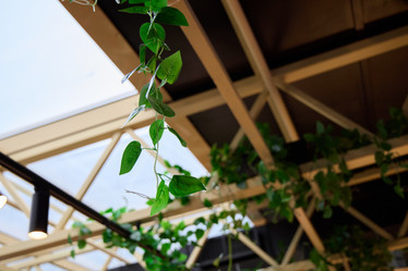 Similar image 21996382