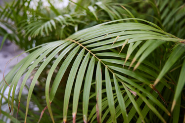 Similar image 21998056