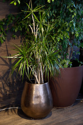 Similar image 21998355